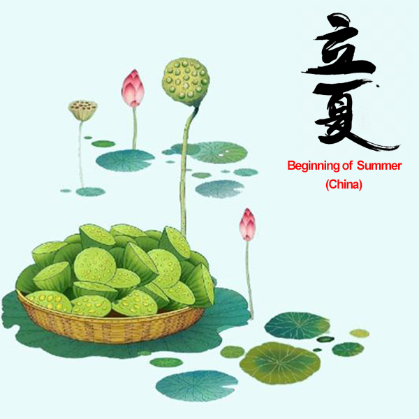 Embracing the Radiance: China's Lixia (Beginning of Summer)