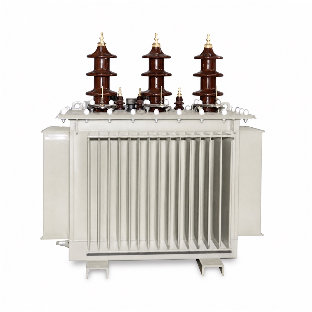 S10 Series 11kv Class Distribution Transformer